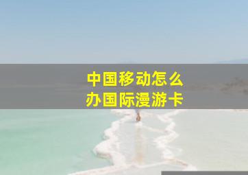 中国移动怎么办国际漫游卡