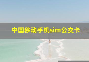 中国移动手机sim公交卡