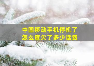 中国移动手机停机了怎么查欠了多少话费