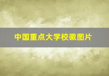 中国重点大学校徽图片