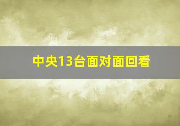 中央13台面对面回看