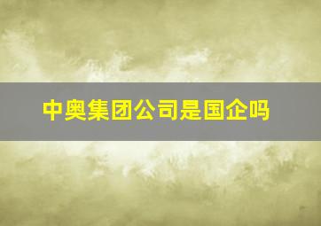 中奥集团公司是国企吗