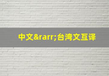 中文→台湾文互译