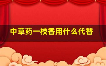 中草药一枝香用什么代替