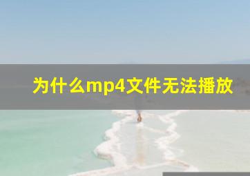 为什么mp4文件无法播放