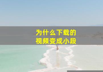 为什么下载的视频变成小段