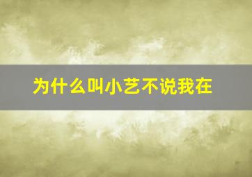 为什么叫小艺不说我在