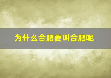 为什么合肥要叫合肥呢