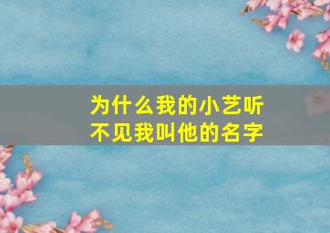 为什么我的小艺听不见我叫他的名字