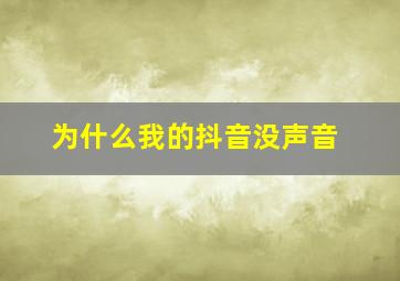 为什么我的抖音没声音