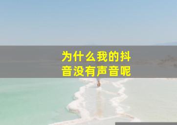 为什么我的抖音没有声音呢