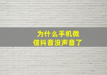 为什么手机微信抖音没声音了