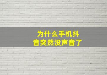 为什么手机抖音突然没声音了