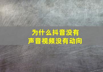 为什么抖音没有声音视频没有动向