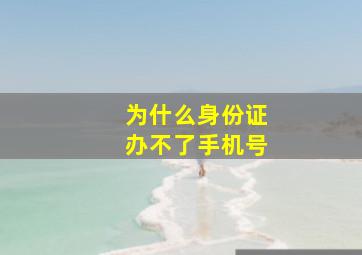 为什么身份证办不了手机号