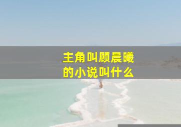 主角叫顾晨曦的小说叫什么