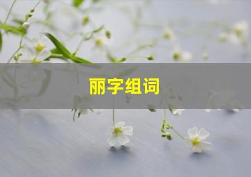 丽字组词