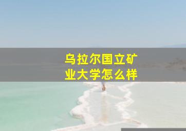 乌拉尔国立矿业大学怎么样