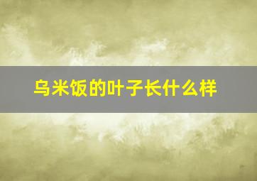 乌米饭的叶子长什么样