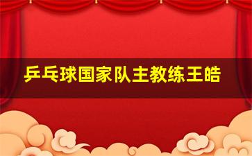 乒乓球国家队主教练王皓