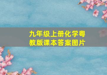 九年级上册化学粤教版课本答案图片