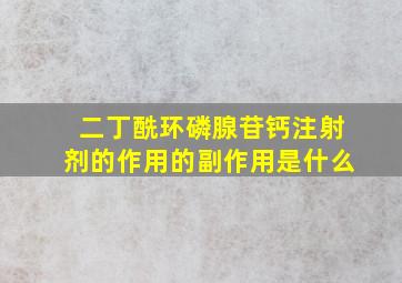 二丁酰环磷腺苷钙注射剂的作用的副作用是什么