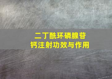 二丁酰环磷腺苷钙注射功效与作用