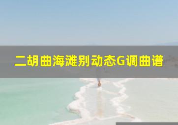 二胡曲海滩别动态G调曲谱