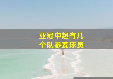 亚冠中超有几个队参赛球员