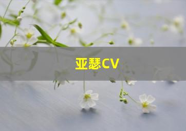 亚瑟CV