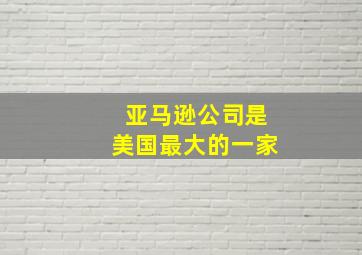 亚马逊公司是美国最大的一家