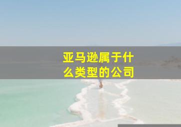 亚马逊属于什么类型的公司