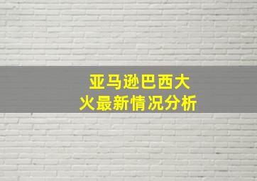 亚马逊巴西大火最新情况分析