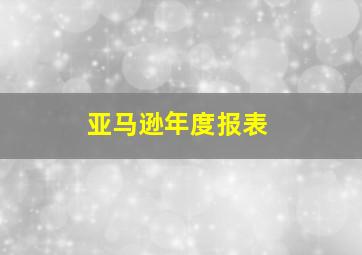 亚马逊年度报表