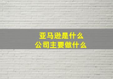 亚马逊是什么公司主要做什么