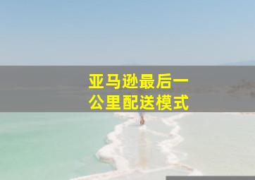 亚马逊最后一公里配送模式