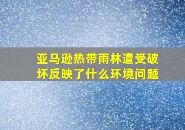 亚马逊热带雨林遭受破坏反映了什么环境问题