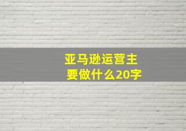 亚马逊运营主要做什么20字