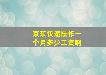 京东快递操作一个月多少工资啊