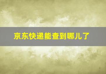 京东快递能查到哪儿了