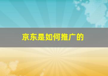 京东是如何推广的