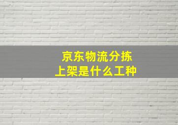 京东物流分拣上架是什么工种