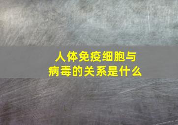 人体免疫细胞与病毒的关系是什么