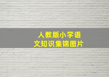 人教版小学语文知识集锦图片