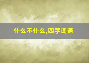 什么不什么,四字词语