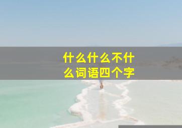 什么什么不什么词语四个字