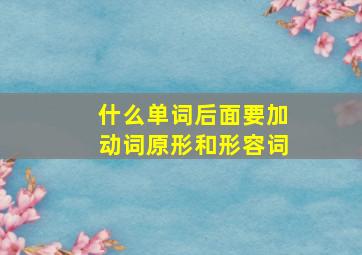 什么单词后面要加动词原形和形容词