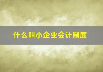 什么叫小企业会计制度