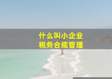 什么叫小企业税务合规管理