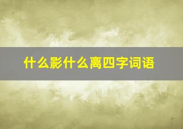 什么影什么离四字词语